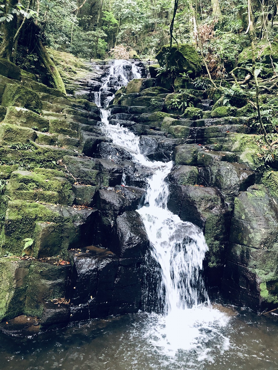 8b365718cb4d6e2a7d501a6c295be4